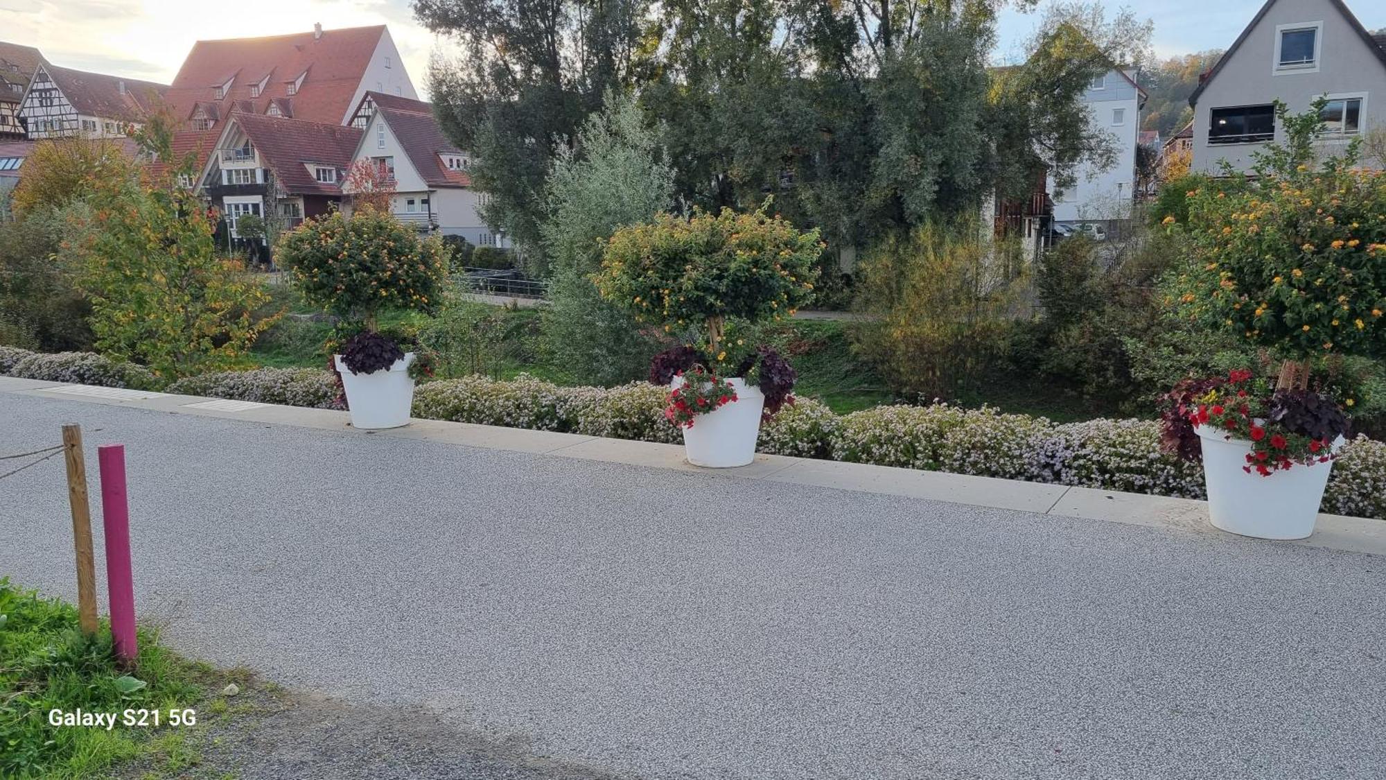 Ferienwohnung Elefanten Balingen Eksteriør bilde
